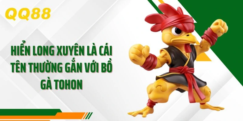 Hiển Long Xuyên là cái tên thường gắn với bồ gà tohon